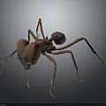 Detailed 3D Model Of Reddish Brown Ant With Legs On Dark Background