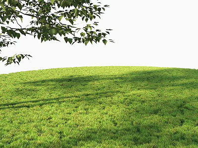 Lush Green Shrubs Thriving On Grassy Field With Tree Branches Overhead 3d model