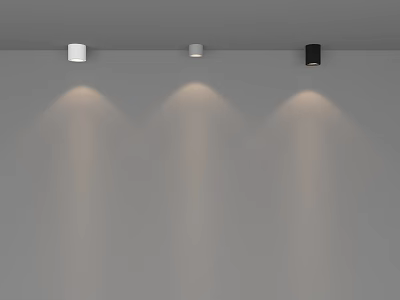 Ceiling Mounted Downlights and Spotlights in White Silver Black with Wall Lighting Effects 3d model