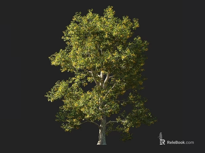 Vibrant Tree With Lush Green Leaves Thick Trunk And Human Figure For Scale 3d model 