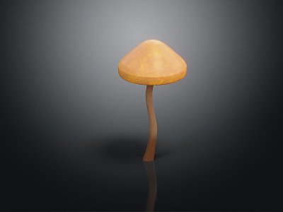 Modern Mushroom Plants 3d model