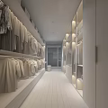 Modern Walk in Closet Interior Design With Hanging Clothes Shelves Glass Doors And Wooden Flooring