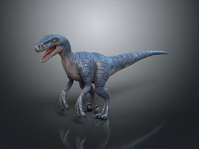 Realistic Velociraptor 3D Model In Standing Pose With Sharp Teeth And Detailed Blue Gray Skin 3d model