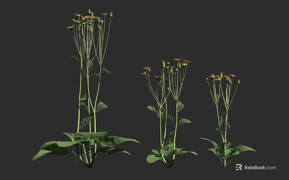 Tall and Short Flowering Plants With Green Leaves And Yellow Blooms 3d model 