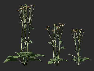 Tall and Short Flowering Plants With Green Leaves And Yellow Blooms 3d model