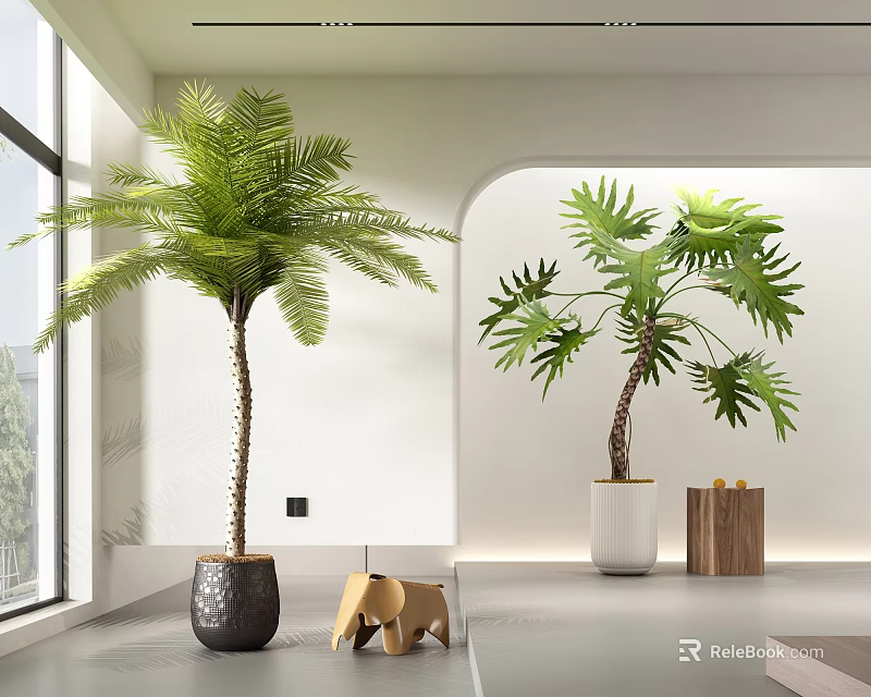 Indoor Bonsai Potted Plants Palm Monstera Black White Pots Large Window Bright Interior Wooden Decor 3d model 