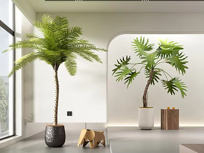 Indoor Bonsai Potted Plants Palm Monstera Black White Pots Large Window Bright Interior Wooden Decor 3d model
