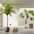 Indoor Bonsai Potted Plants Palm Monstera Black White Pots Large Window Bright Interior Wooden Decor