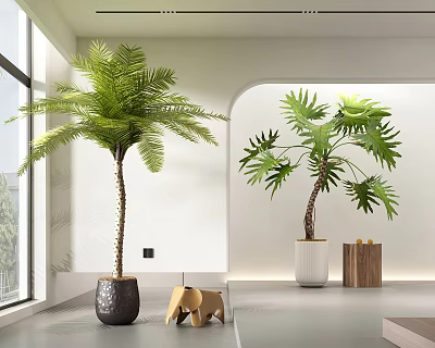 Indoor Bonsai Potted Plants Palm Monstera Black White Pots Large Window Bright Interior Wooden Decor 3d model