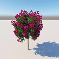 Beautiful Arbor with Lush Green Leaves and Vibrant Pink Flowers Brown Trunk in Open Space