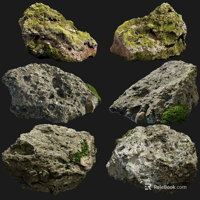 Natural Mossy Stone Samples with Wooden Display Bases and Unique Texture Details 3d model 