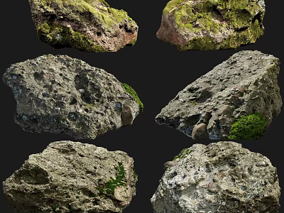 Natural Mossy Stone Samples with Wooden Display Bases and Unique Texture Details 3d model