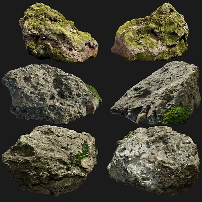 Natural Mossy Stone Samples with Wooden Display Bases and Unique Texture Details 3d model