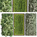 Decorative Green Plant Wall Showcasing Various Plant Species And Vertical Garden Design