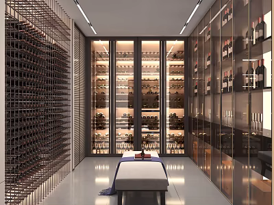 Modern Wine Cellar Interior Design With Glass Display Racks And Illuminated Wine Bottles 3d model
