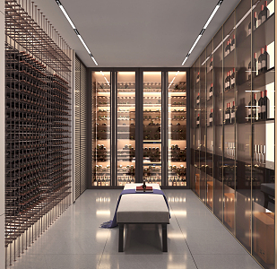 Modern Wine Cellar 3d model