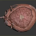 Artistic Sculpture Carving Bowl Shaped Red Texture With Intricate Inner Patterns And Protruding Details
