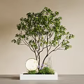 Lush Leafy Tree Round White Object Green Plants and Purple Flowers on Light Colored Wall