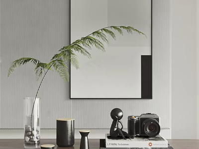 Modern Decorative Ornament Set with Green Plant Vase Mirror Vintage Camera and Books 3d model