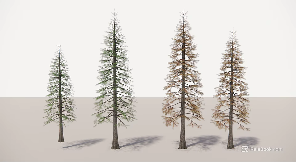 Four Tall Trees With Green And Yellow Foliage Showing Seasonal Changes 3d model 