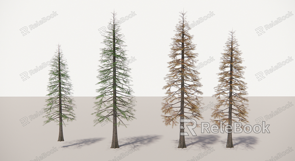 modern tree deciduous fir model