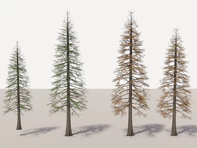 Four Tall Trees With Green And Yellow Foliage Showing Seasonal Changes 3d model