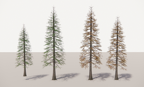 modern tree deciduous fir 3d model