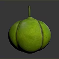 Fresh Green Striped Tropical Fruit With Smooth Skin And Stem