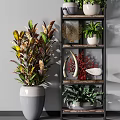 Indoor Bonsai Plants Arrangement On Multi Tiered Shelf With Colorful Foliage And Decorative Pieces