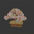 Beautiful Bonsai Plant With Pink Flowers In Brown Square Pot And Green Moss