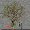 Garden Landscape Featuring Willow Tree On Circular Lawn With Square Pavement And Human Figure 3d model