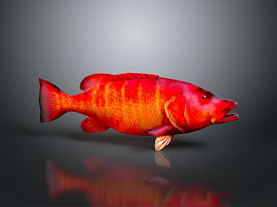 Vibrant Red Fish With Yellow Stripes On Dark Background Showing Reflection 3d model
