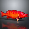 Vibrant Red Fish With Yellow Stripes On Dark Background Showing Reflection