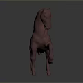 Bronze Horse Sculpture With Detailed Artistic Standing Pose And Shiny Surface