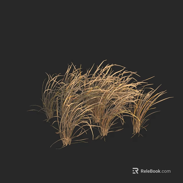 Detailed Golden Brown Withered Dry Grass Clump in Natural Growth Pattern 3d model 