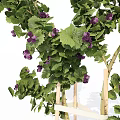 Lush Green Clustered Plants With Small Purple Flowers And Woody Stems Growing In Soil