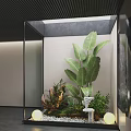 Indoor Landscape With Large Leafy Green Plants Small Foliage And Modern Interior Decor