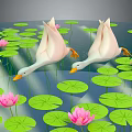 Two White Geese Swimming on Water Surface with Green Lily Pads and Pink Lotus Flowers