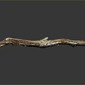 Natural Textured Wood Branch With Brown Orange Color And Glossy Reflection On Dark Background