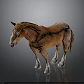 Brown Horse With Light Mane Standing On Dark Reflective Surface With White Hooves