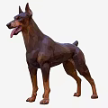 Low Poly Doberman 3D Model In Standing Pose With Tongue Out