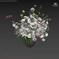 Bonsai Plant Indoor Decorative Green Foliage With Stylish Pot For Home Decoration