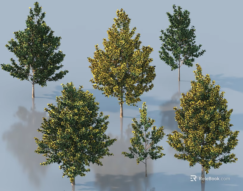 Six Green and Yellow Arbor Trees with Lush Foliage in Natural 3d model 