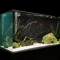 Beautiful Aquarium Setup With Red Fish Driftwood Aquatic Plants And White Sand