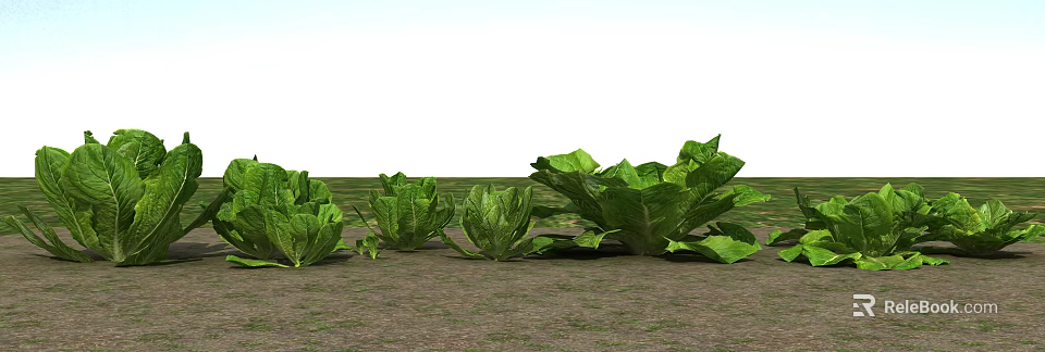 Fresh Green Leafy Vegetables Growing In Garden Soil Naturally Healthy 3d model 