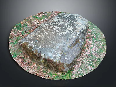 Natural Wood and Stone Material Display with Moss Covered Surface and Grass Surroundings 3d model