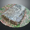 Natural Wood and Stone Material Display with Moss Covered Surface and Grass Surroundings