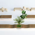 Modern Curved Leisure Chairs With Wooden Frame And Plant Decorations For Indoor Living