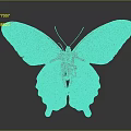 Black Butterfly With White And Red Spots On Wings Isolated On Gray Background