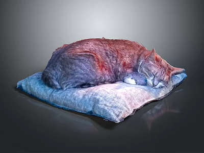 Cat Lying On Soft Blue Cushion Sleeping Peacefully And Comfortably 3d model